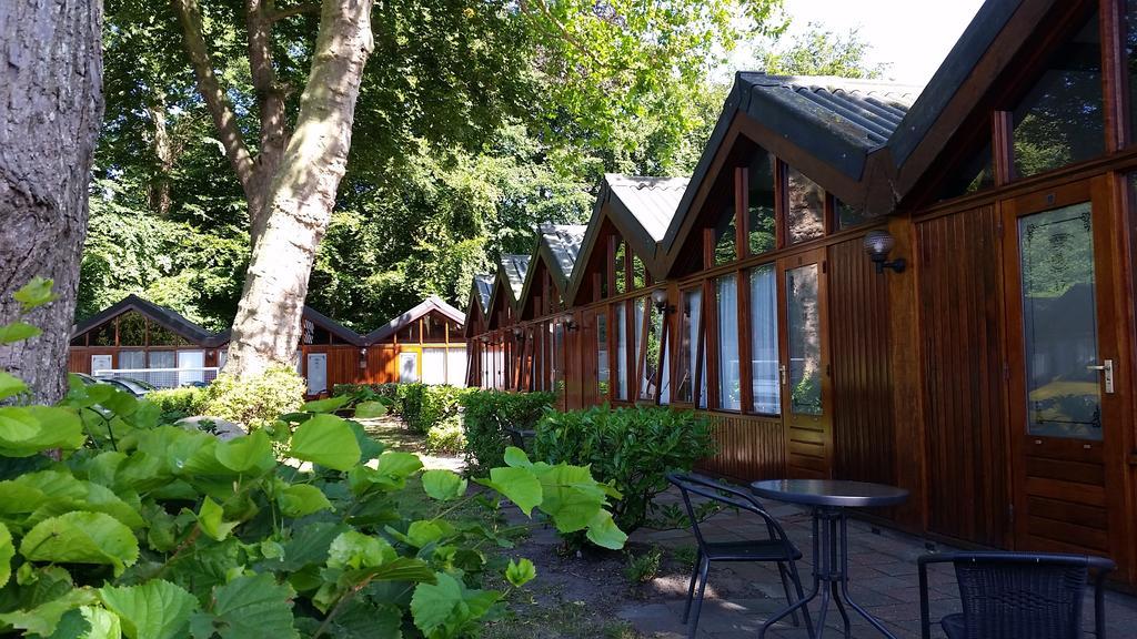 Motel Oostvoorne Oda fotoğraf